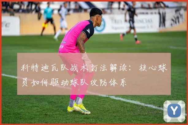科特迪瓦队战术打法解读：核心球员如何驱动球队攻防体系