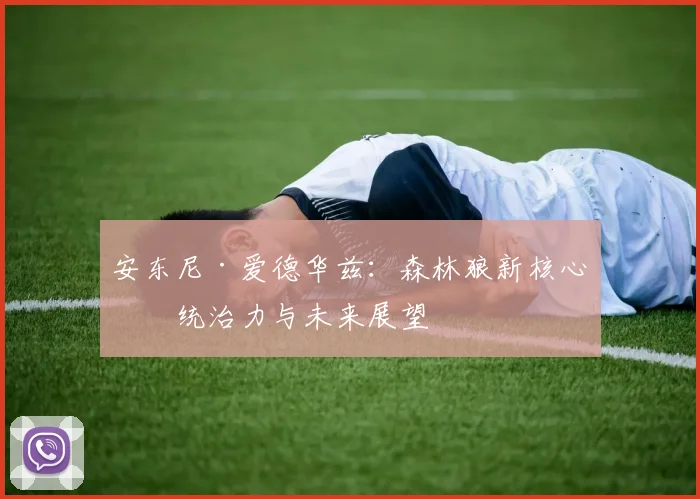 安东尼·爱德华兹：森林狼新核心的统治力与未来展望