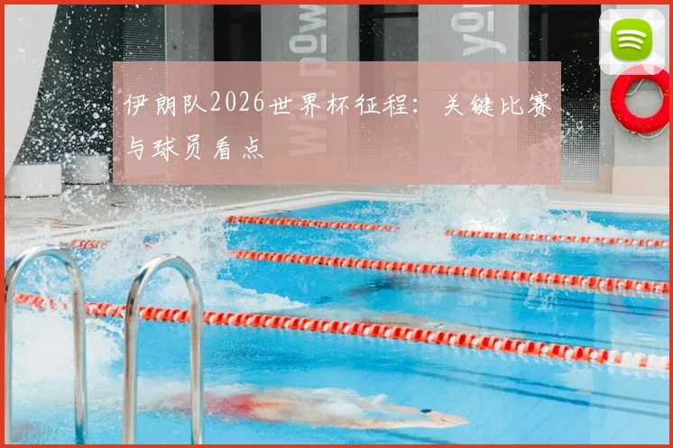 伊朗队2026世界杯征程：关键比赛与球员看点
